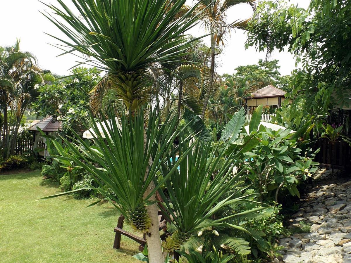 Homestay Chiangrai Chiang Rai Buitenkant foto